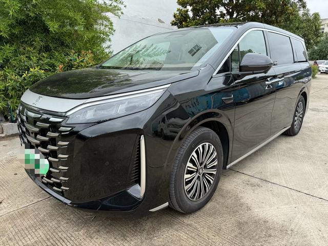 Summer 2025 DM-i 180KM transcendent type