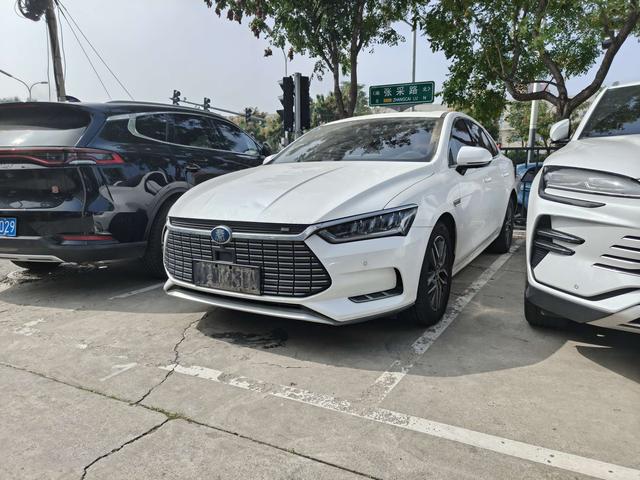 Qin Pro EV 2018 EV500 Zhilian Lingyao Type