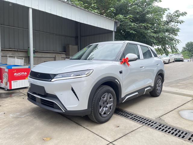 Yuan UP 2025 Smart Driving Version 401KM Vitality Version