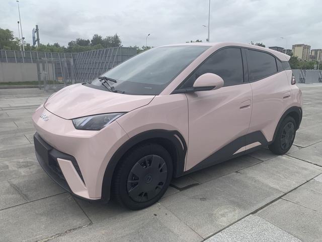 Seagull 2024 Glory Edition 305KM Vitality Edition