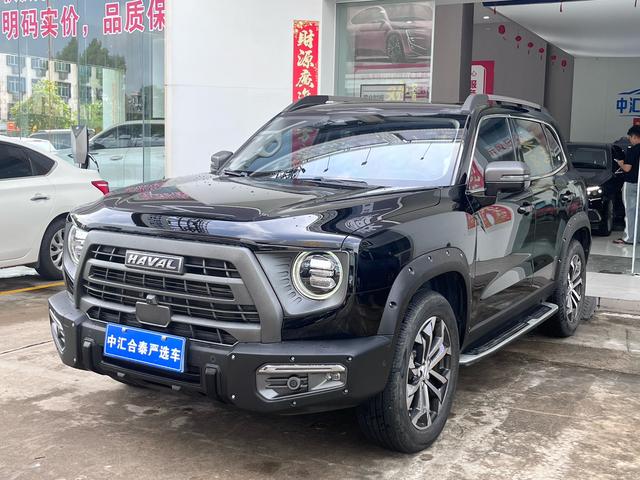 Havoc Big Dog 2022 1.5T 2WD HorseDog Pursuit Edition