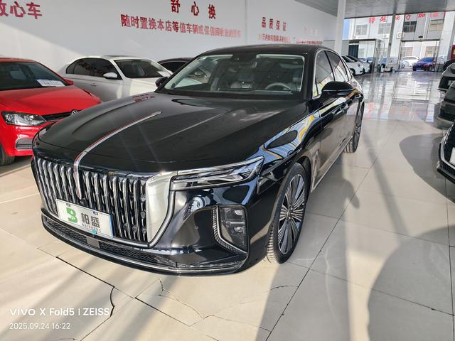 Hongqi H9 2025 2.0T Qixiang Luxury Business Edition