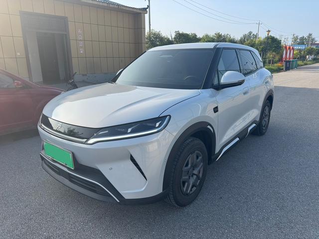 Yuan UP 2025 Smart Driving Version 401KM Vitality Version