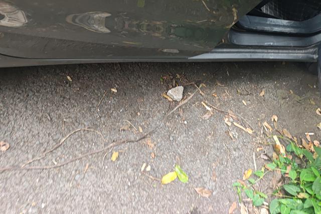 Фото машины 6