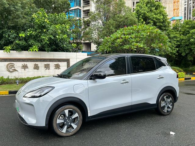 Wuling Bingguo PLUS 2024 330km five-seater version