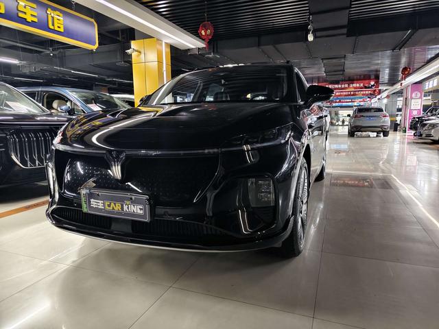 Landu Soulmate 2024 Four-wheel drive Global Edition