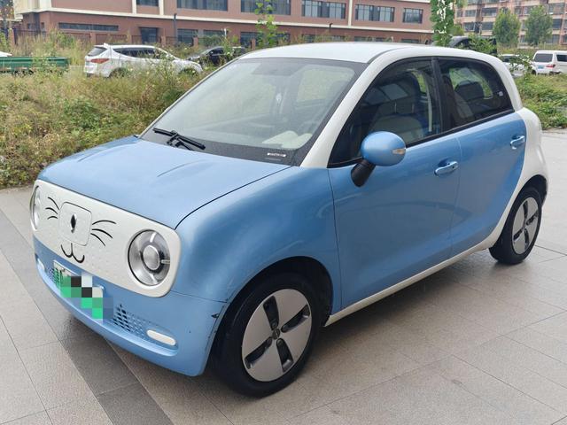 Euler Black Cat 2019 301km Standard Edition