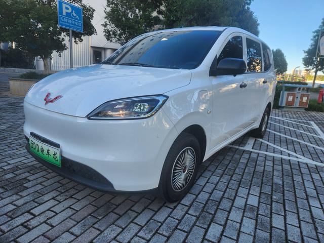 Wuling Hongguang Pure Electric Version 2024 300KM Standard Type