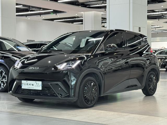 Seagull 2024 Glory Edition 305KM Vitality Edition