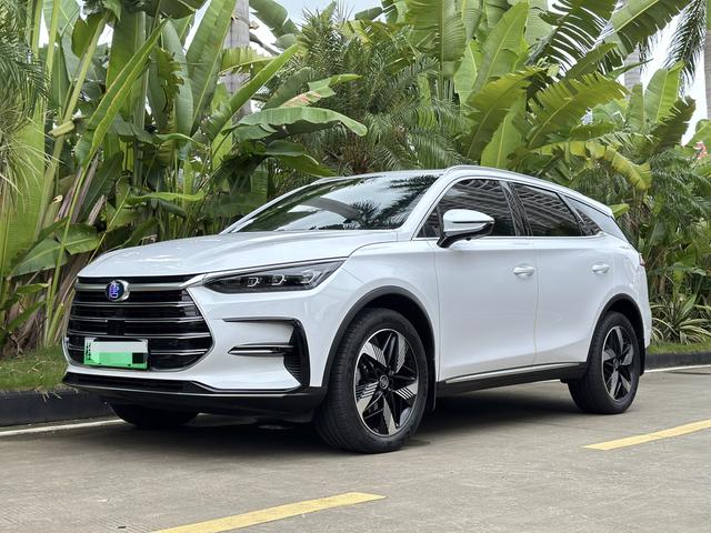 Tang DM 2023 DM-i Champion Edition 112KM Exclusive Type