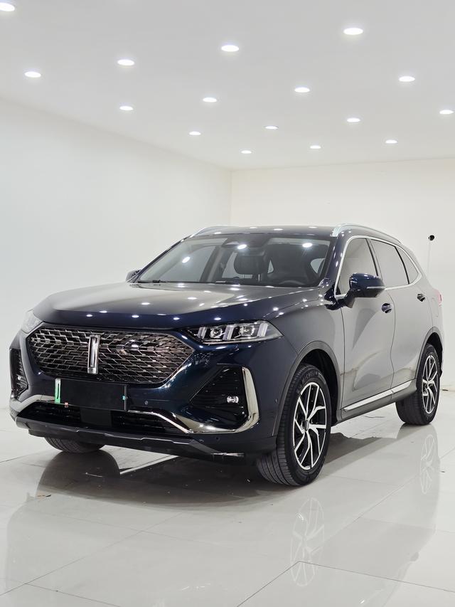 Latte PHEV 2022 1.5T two-wheel drive oversized cup