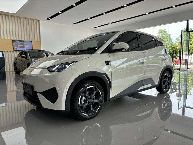 Seagull 2025 Smart Driving Version 305KM Free Version