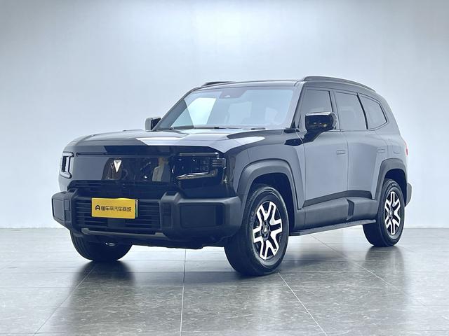 Dark blue G318 2024 two-wheel drive comfort edition