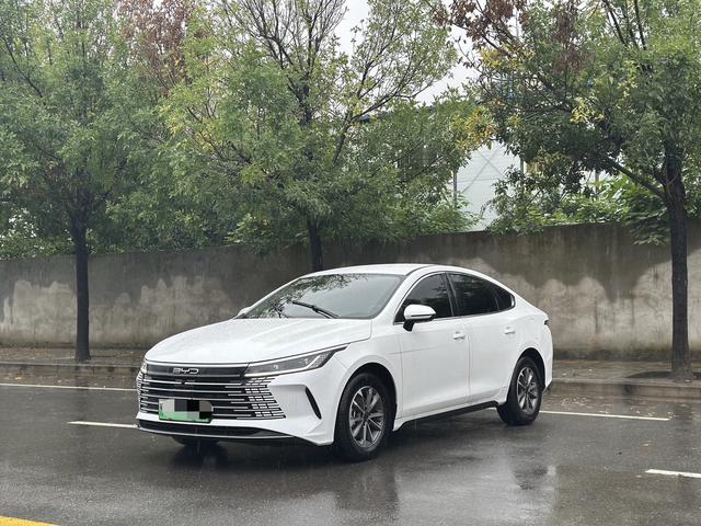 Destroyer 05 2024 Glory Edition DM-i 55KM Luxury
