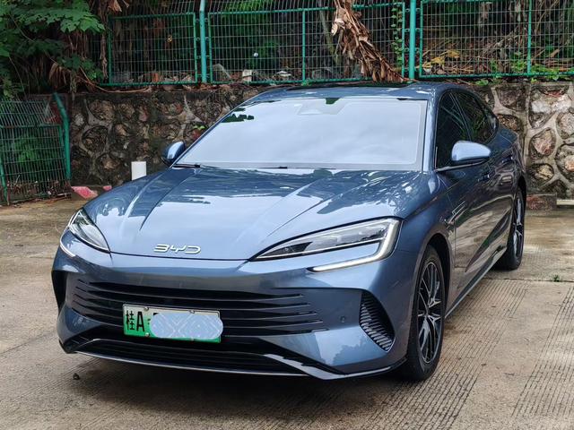 Seal DM 2023 DM-i 1.5T 121KM flagship model