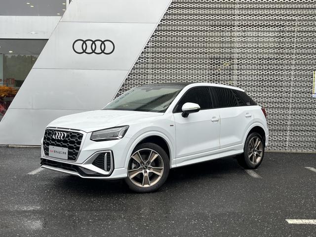 Audi Q2L 2024 model 35 TFSI fashion dynamic type