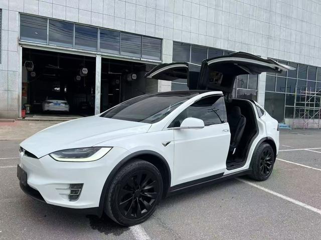Model X 2017 100D Long Range Edition