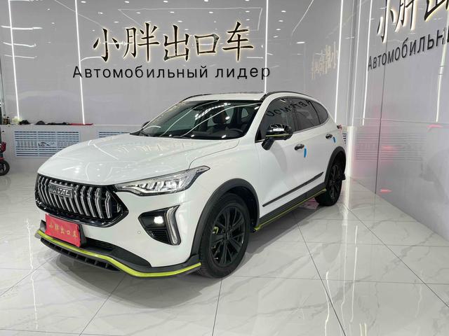 Havalanche 2021 Excite Edition 1.5T Golden Rabbit