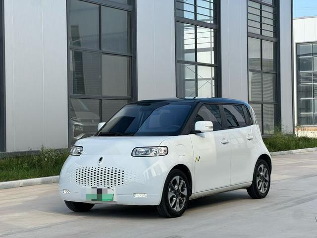 Euler White Cat 2022 upgraded version of 305km luxury ternary lithium