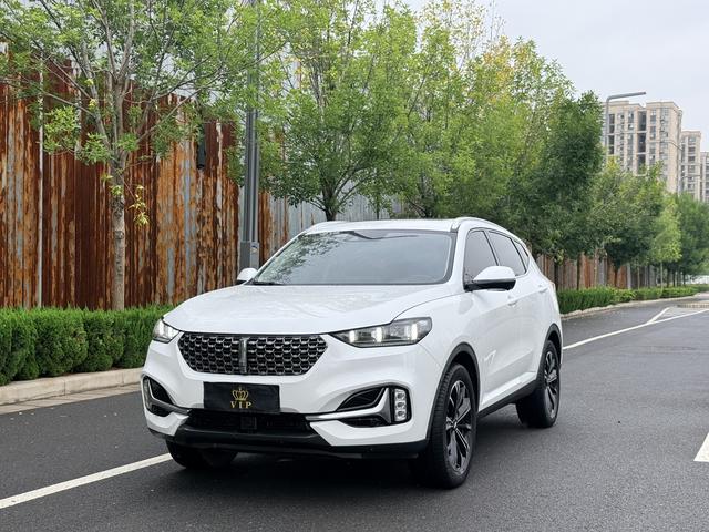 Wei brand VV6 2021 2.0T two-wheel drive smart protection+