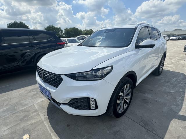 Wei brand VV6 2020 2.0T two-wheel drive smart enjoy+