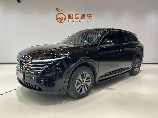Tanlu 2024 380VC-TURBO two-wheel drive Zhiyue Edition seven-seater