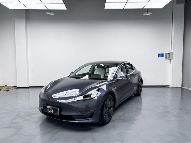 Model 3 (Import) 2019 Long Range Rear Drive Edition
