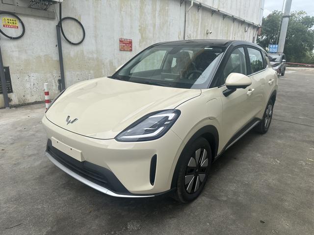 Yueye Plus 2026 301km Ultimate Edition