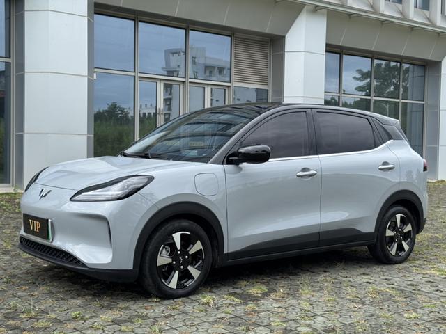 Wuling Bingguo PLUS 2024 510km Ultimate Edition