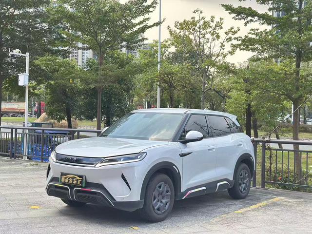 Yuan UP 2024 model 401KM vitality type