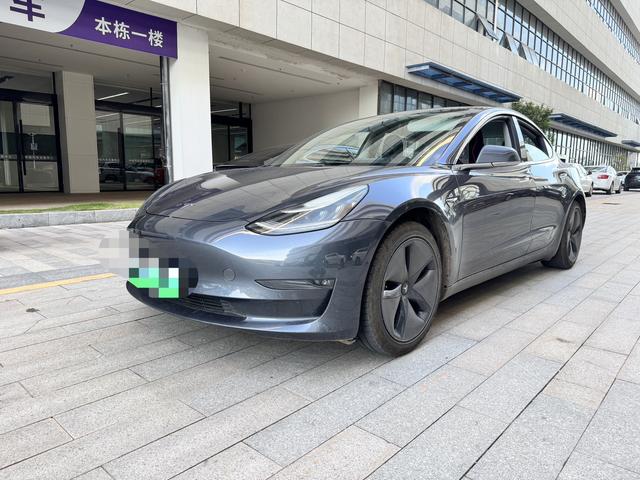 Model 3 (Import) 2019 Long Range Rear Drive Edition