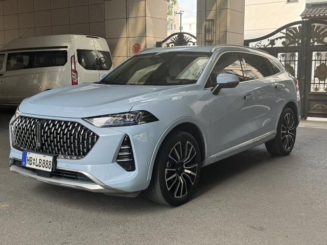 Mocha 2021 2.0T four-wheel drive special alcohol version