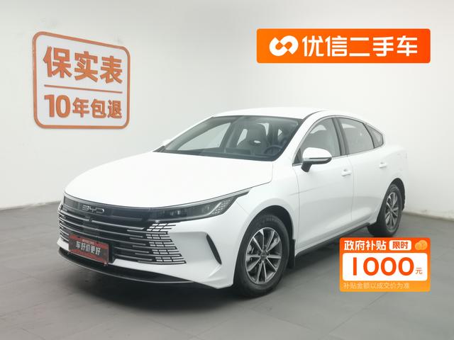 Destroyer 05 2024 Glory Edition DM-i 55KM Luxury