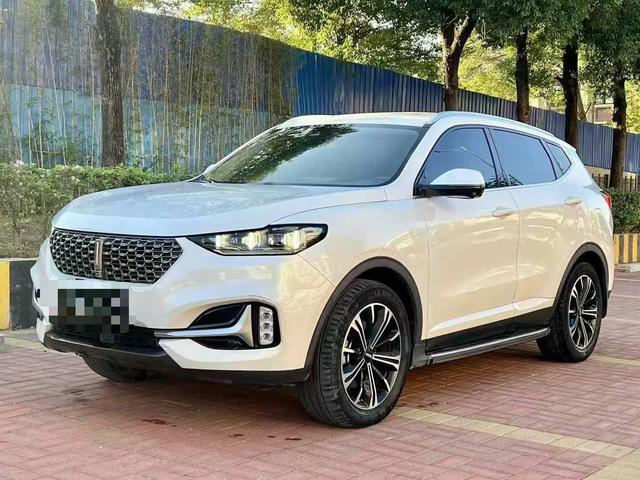 Wei brand VV6 2020 2.0T two-wheel drive Collie Smart Travel+