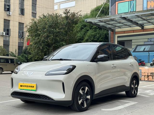 Wuling Bingguo PLUS 2024 510km five-seater version