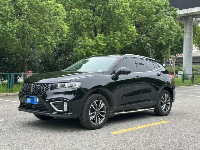 Wei brand VV5 2021 model 1.5T Yan Xianfeng