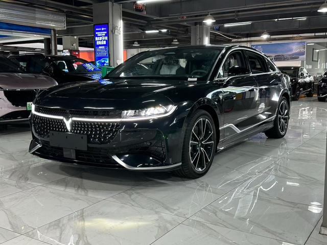 Arcturus Chase PHEV 2024 Ultra Long Range 4WD Executive Edition