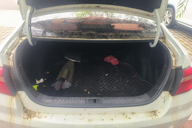 Фото машины