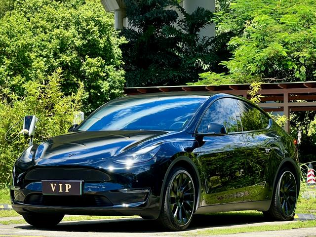 Model Y 2021 Standard Range Rear-Wheel Drive