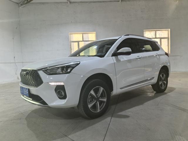 Haval H6 Coupe 2020 Zhilian version 1.5T manual two-wheel drive elite type
