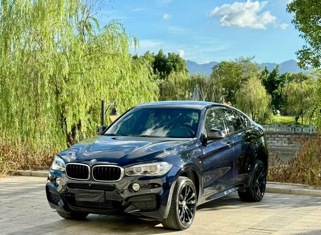 BMW X6 2019 xDrive35i M Sport Package