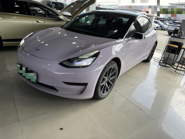 Model 3 2019 Standard Range Rear Drive Upgrade