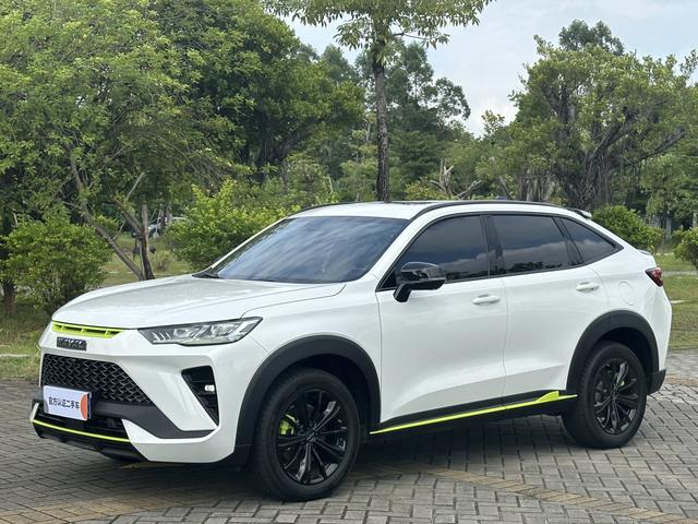 Haval H6S 2022 2.0T Pleasure Run Edition