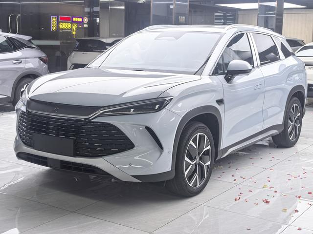 Song L DM 2025 Smart Driving version DM-i 112KM leading Type