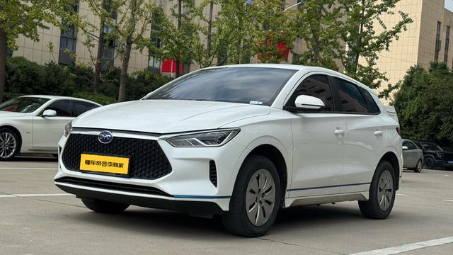 BYD e2 2021 Luxury