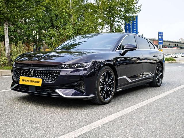 Arcturus Chase PHEV 2024 Ultra Long Range 4WD Executive Edition