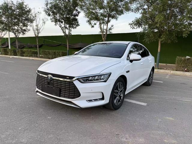 Qin Pro EV 2018 EV500 Smart Union Collar Type