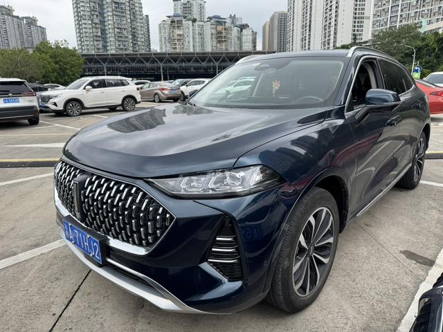 Mocha 2021 2.0T two-wheel drive special alcohol version