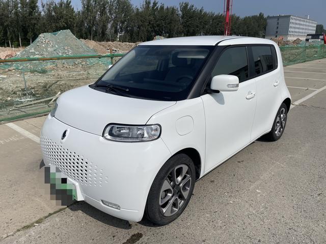 Euler White Cat 2022 upgraded version of 305km luxury ternary lithium