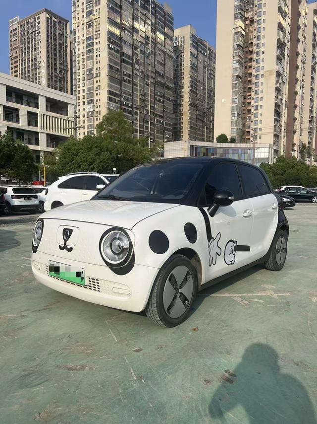 Euler Black Cat 2022 301km Cute Pet Version Lithium Iron Phosphate